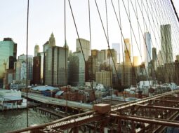 Building Bridges and Breaking Ground One Engineer’s Journey into Real Estate