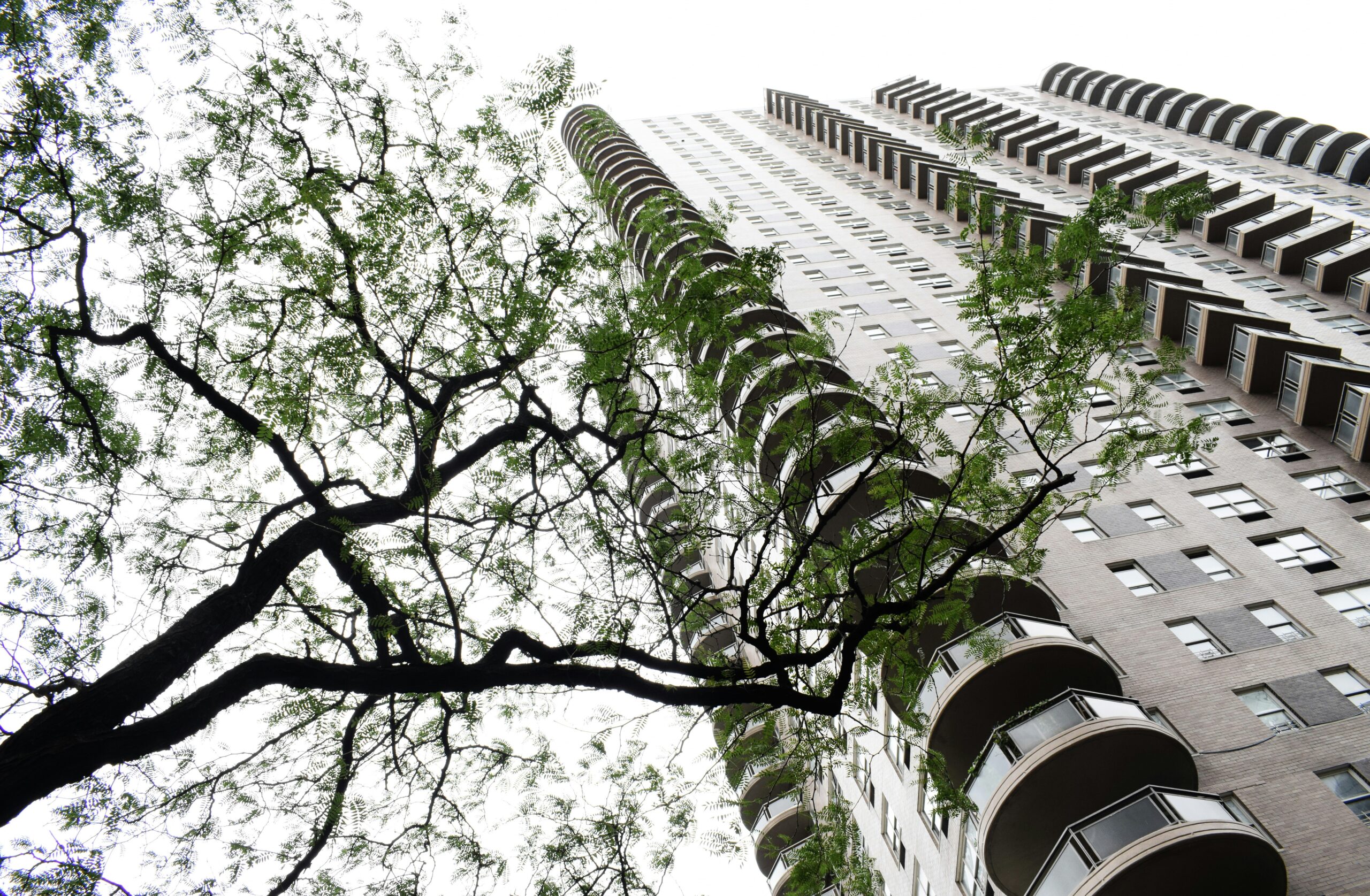 Sustainable Growth: Building Resilient Real Estate in a Competitive Market